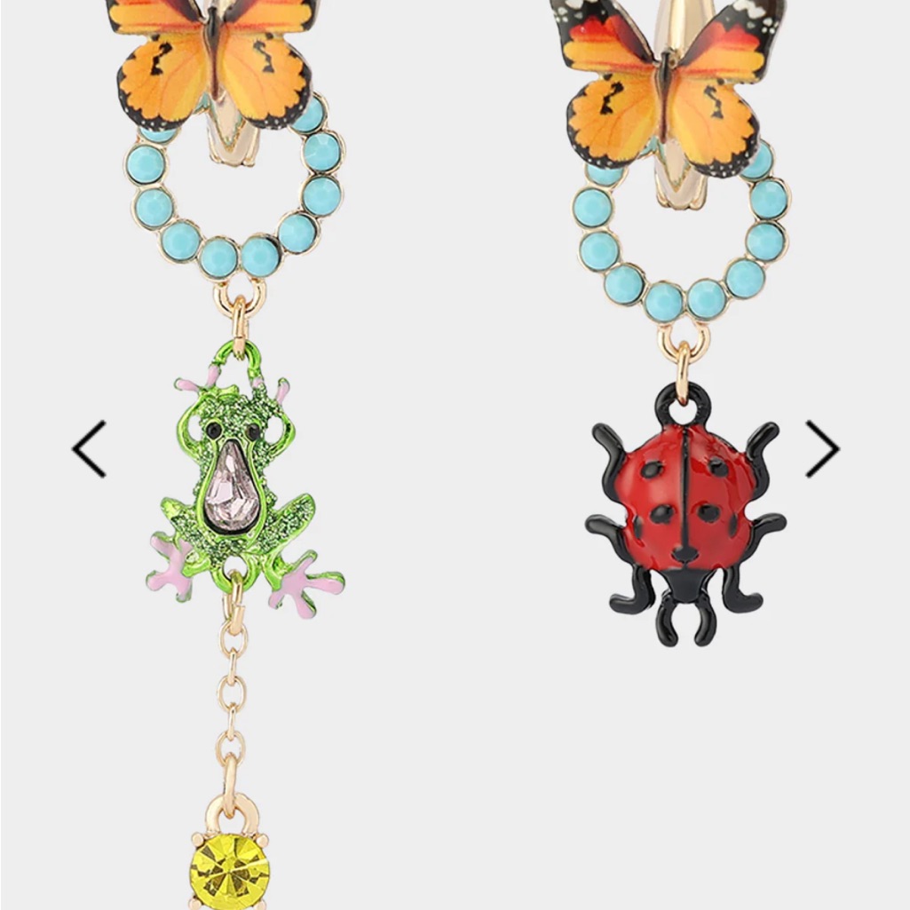 Colorful Butterfly And Insect Earrings 38$